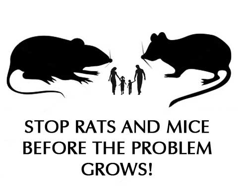 Rodents Graphic